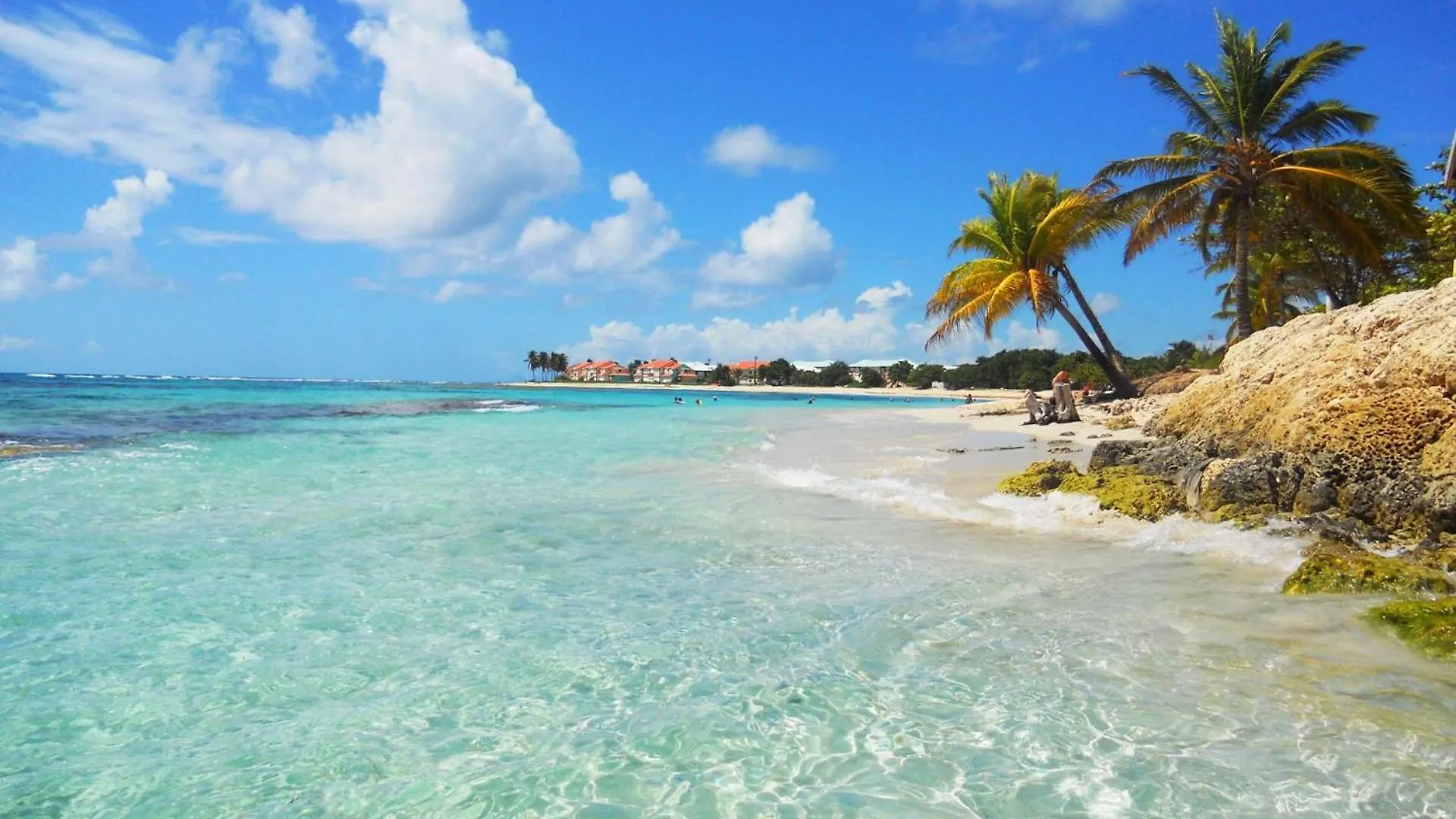 Apartment Studio West Indies Manganao Saint-Francois